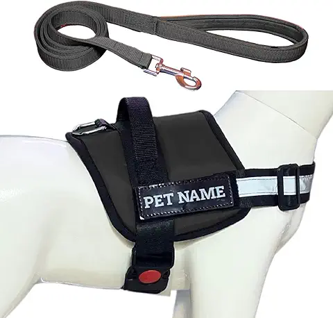 PAYTON PERRY Customized Dog Harness with Leash