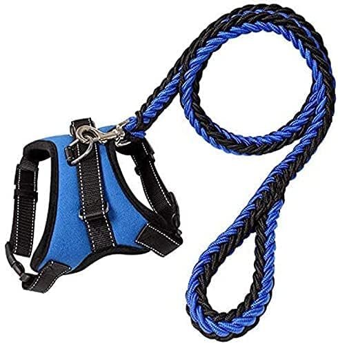 KittuPet All in One Leash Harness