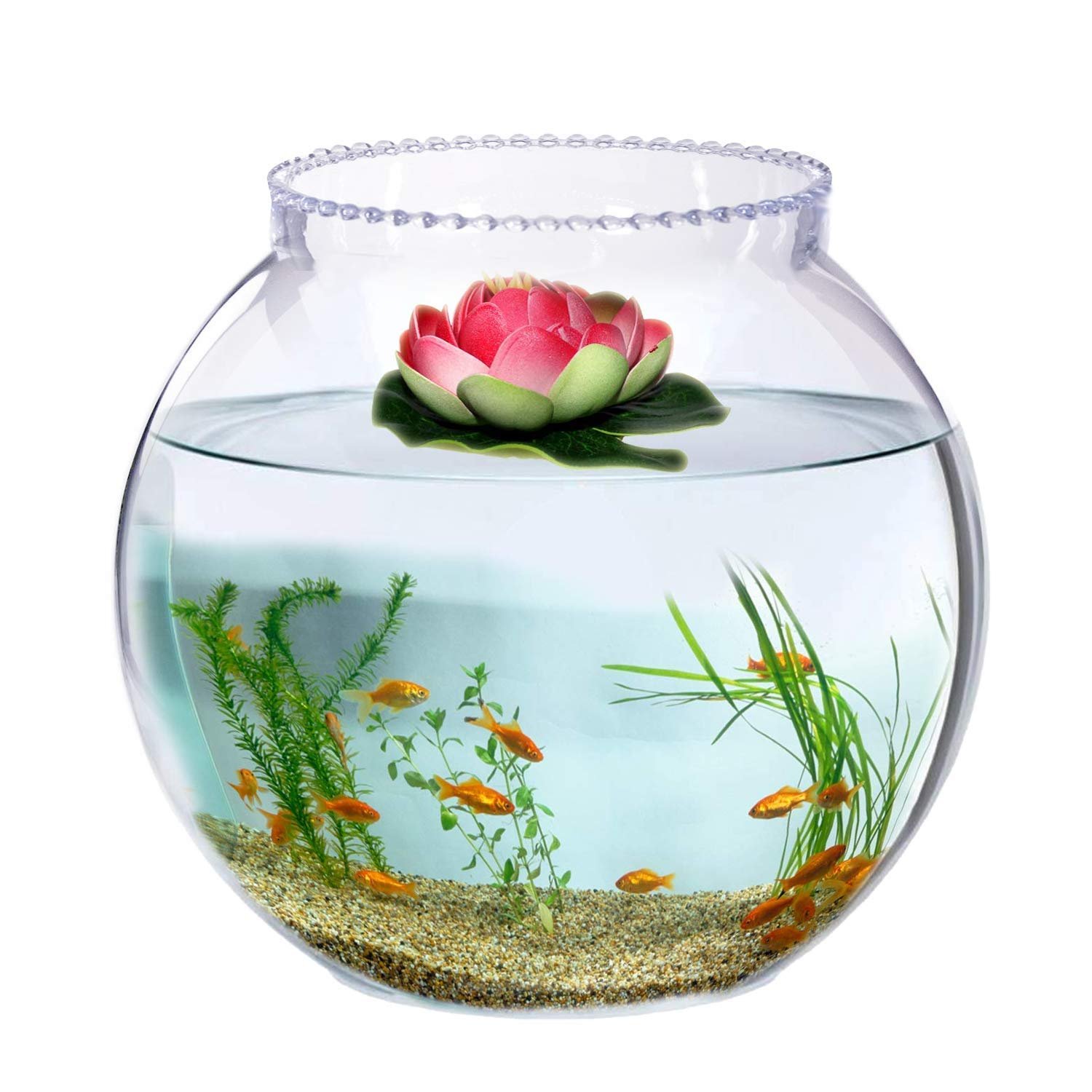 Fish Pot for Home