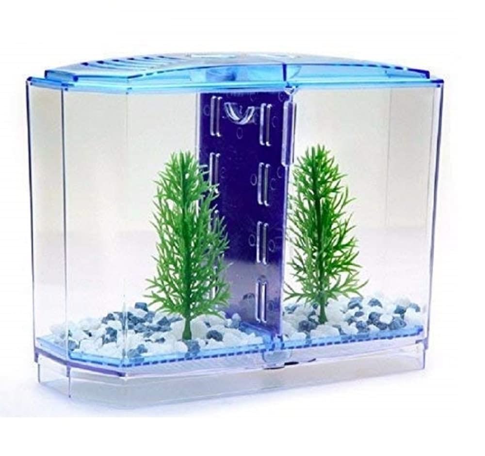 Small Mini Fish Betta Double House Fish