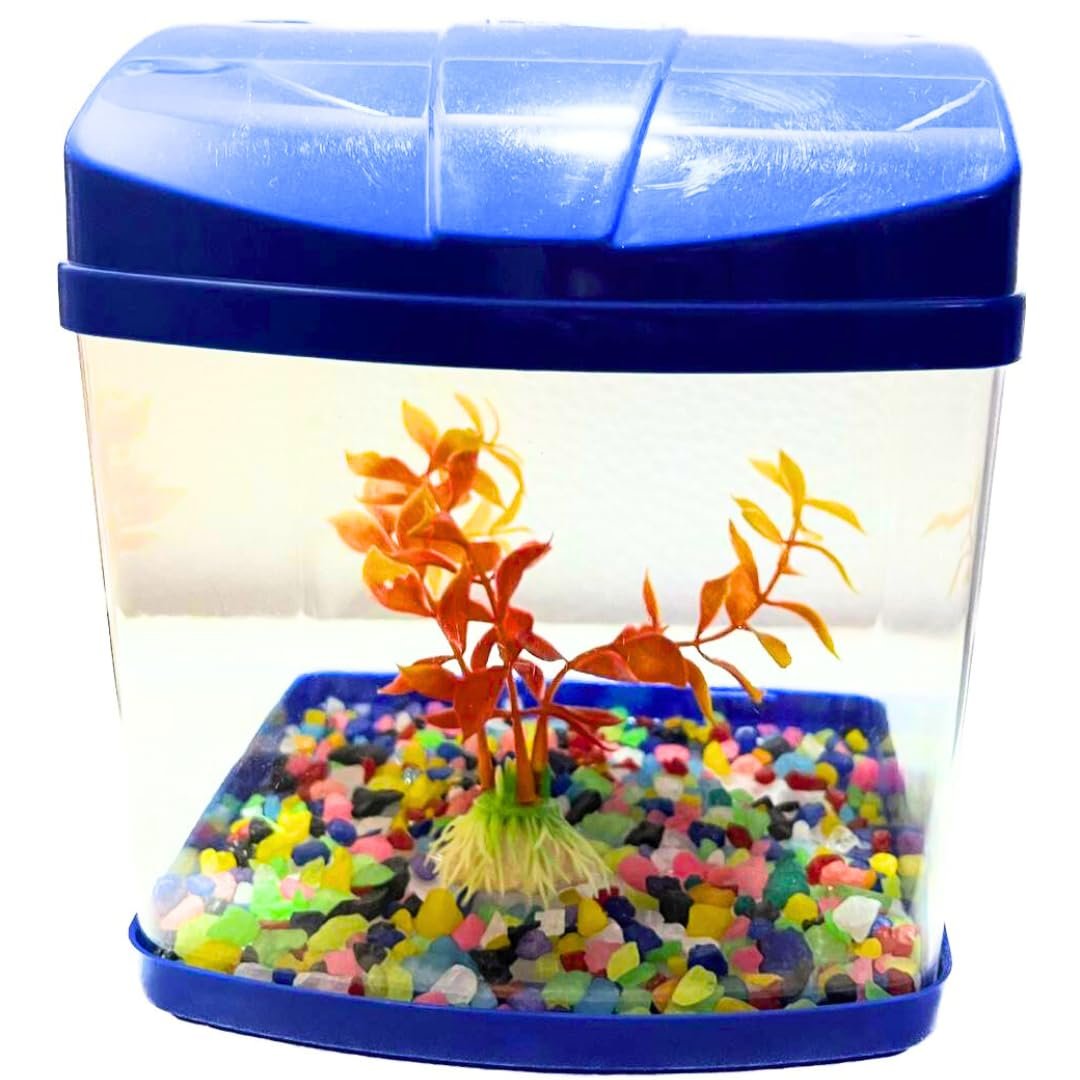 Mini Aquarium Fish Tank