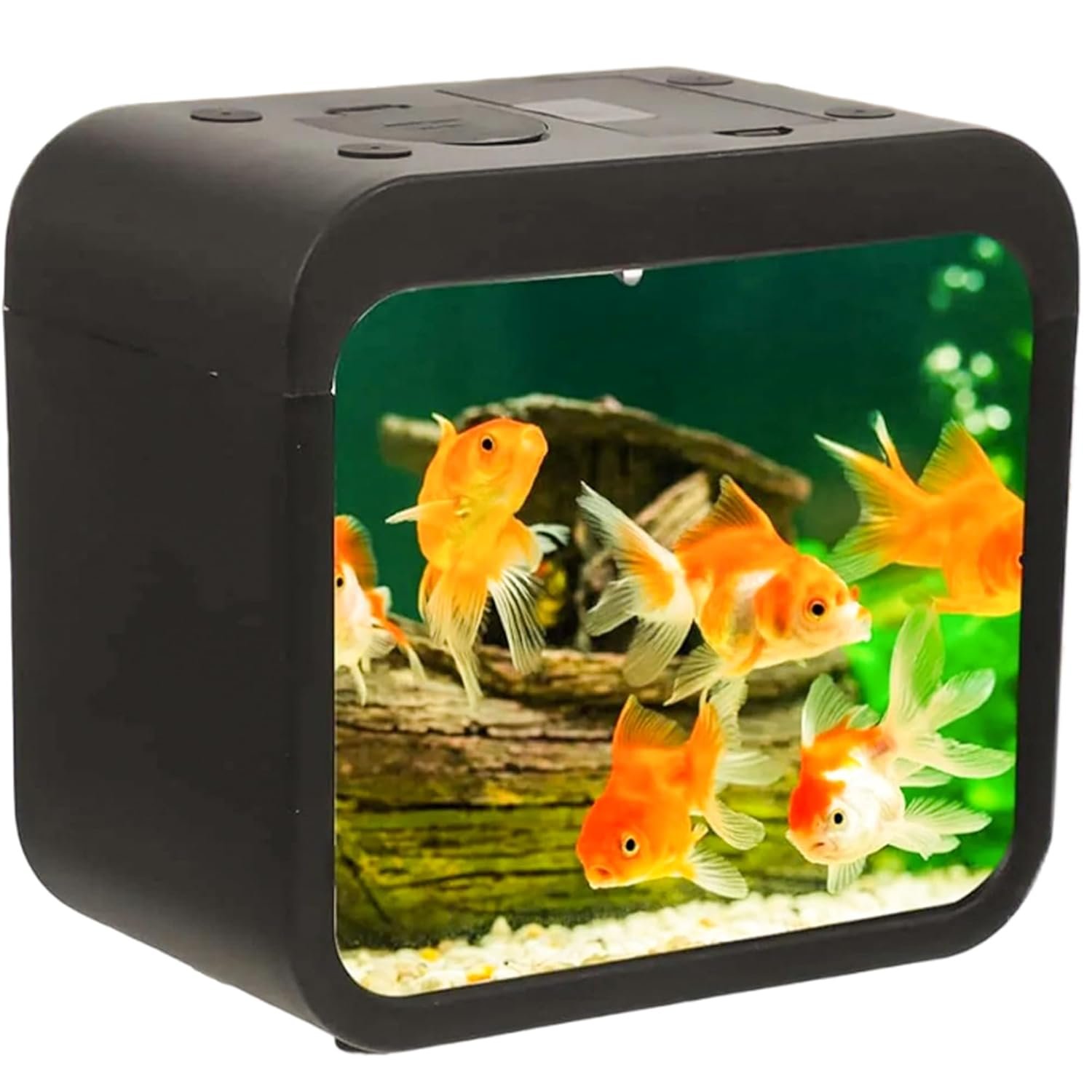 LED Light Mini Fish Tank