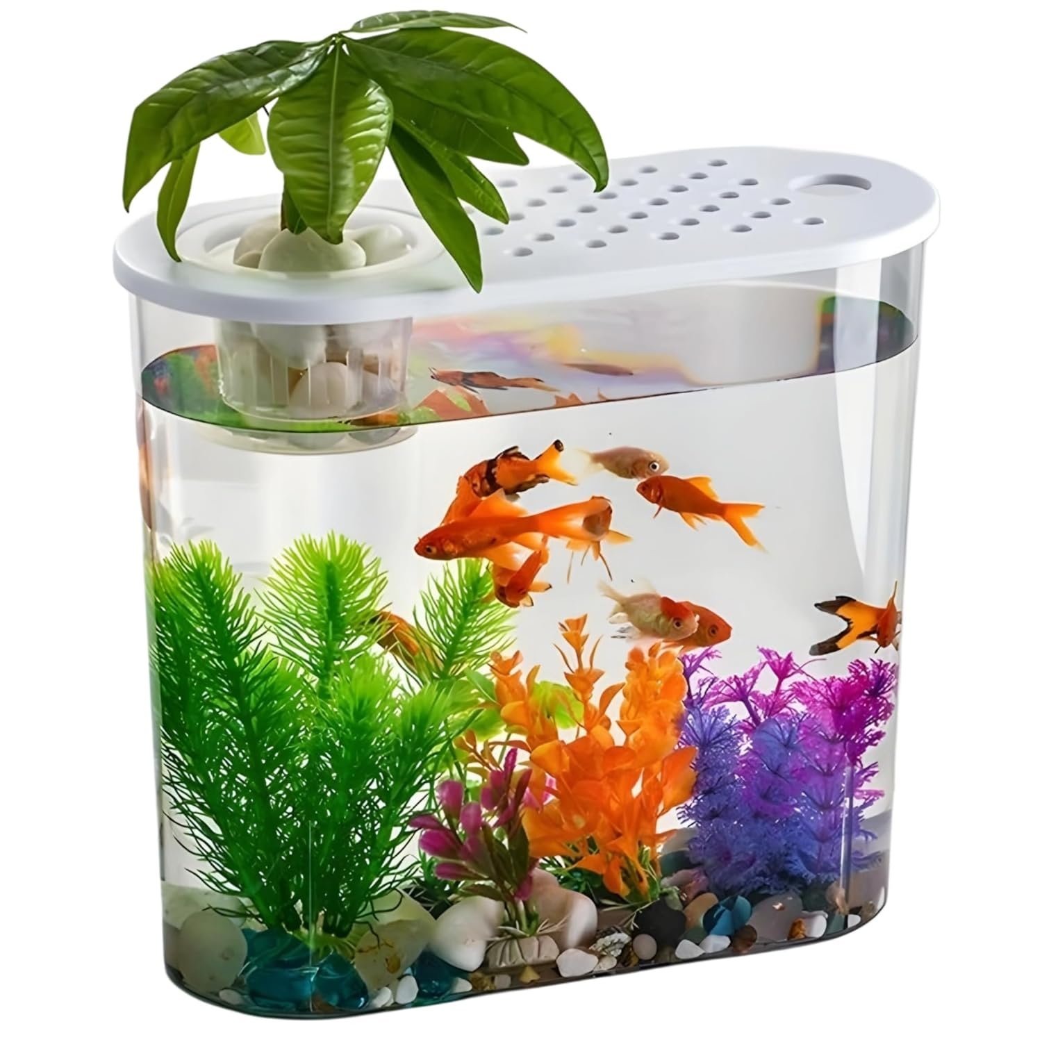 rizopets Hydroponic Fashion Aquarium Mini Fish Tank