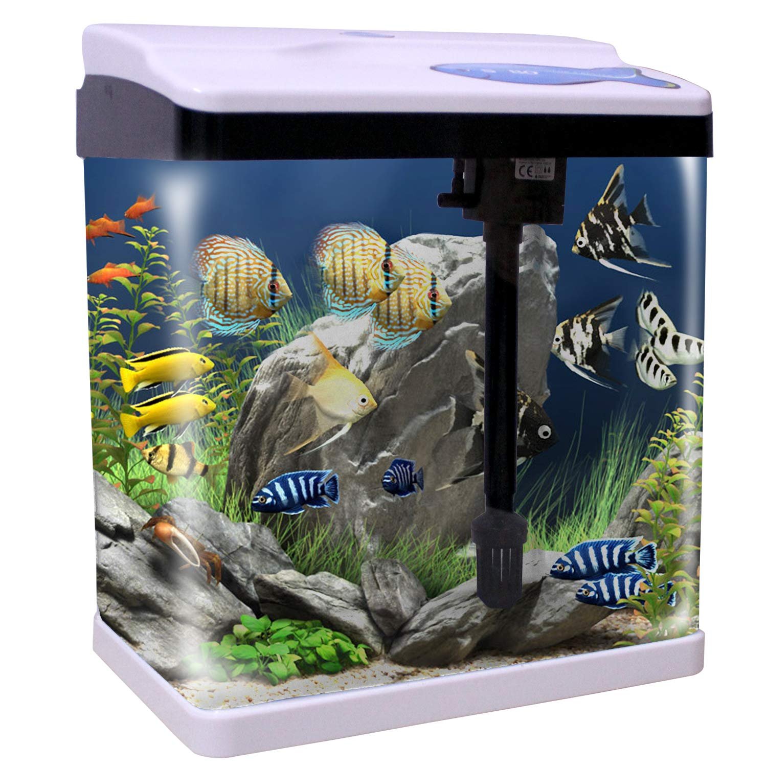 Fish Aquarium Mini Tank 