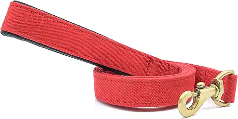 PetWale Dog Leash with Padded Handle