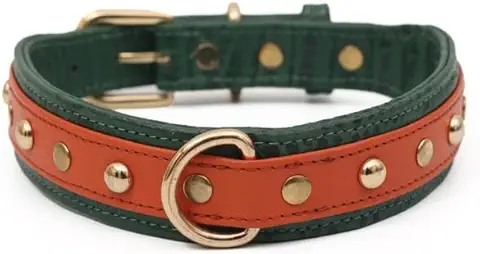 Pampaw Leather The Pongo Collars for Dogs