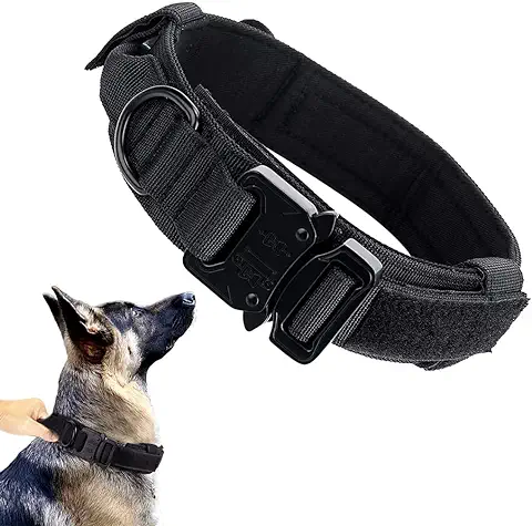  Dogs Collar For Large Dogs