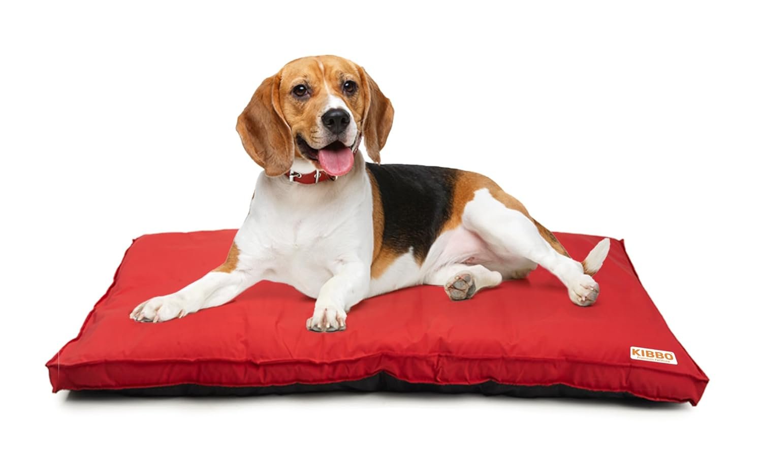 Detachable Cover & Washable Dog Bed 