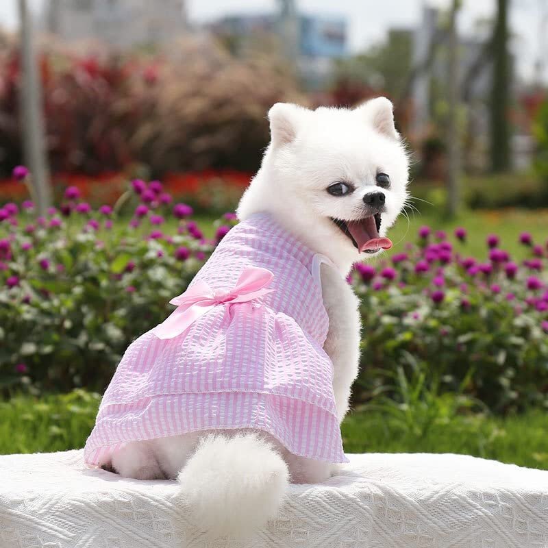 KUTKUT Dress for Small Dog Girl Puppy