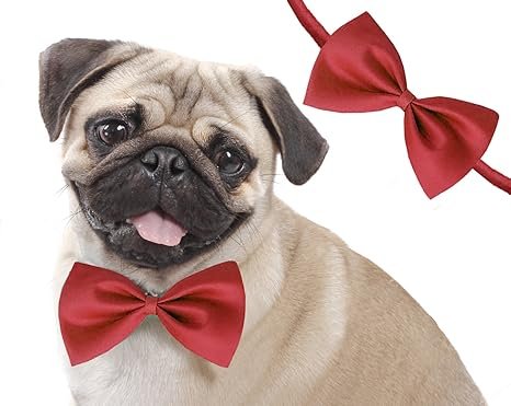 Sage Square Dog Bow Tie Red 