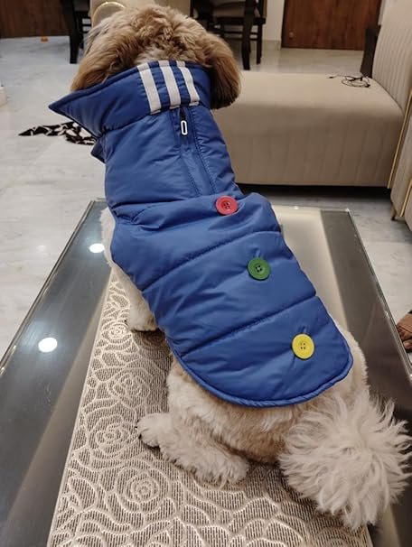 Golden Tails Windproof Warm Dog Winter Jacket