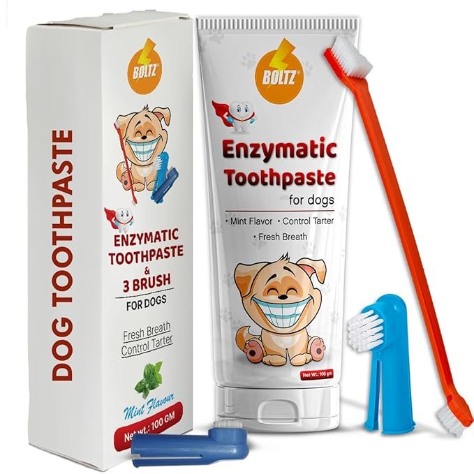 Boltz Enzymatic Toothpaste for Dogs