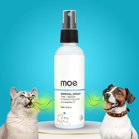 Moe Puppy Dental Spray for Pets