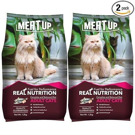  Tasty dry Cat Food