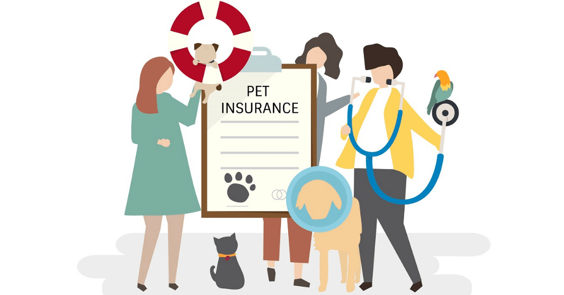 Furry Insurance