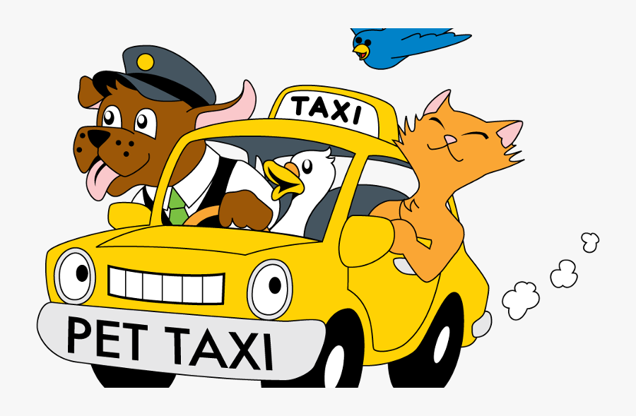 Pets Transportation